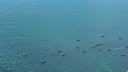 260706-OCW-2026-02